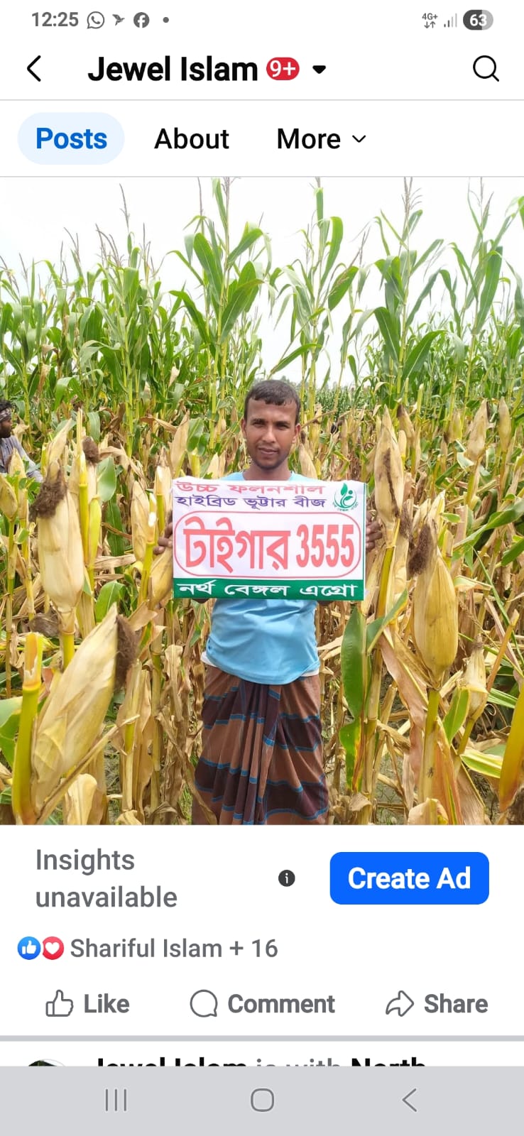 Farmer in Tiger 3555 Field